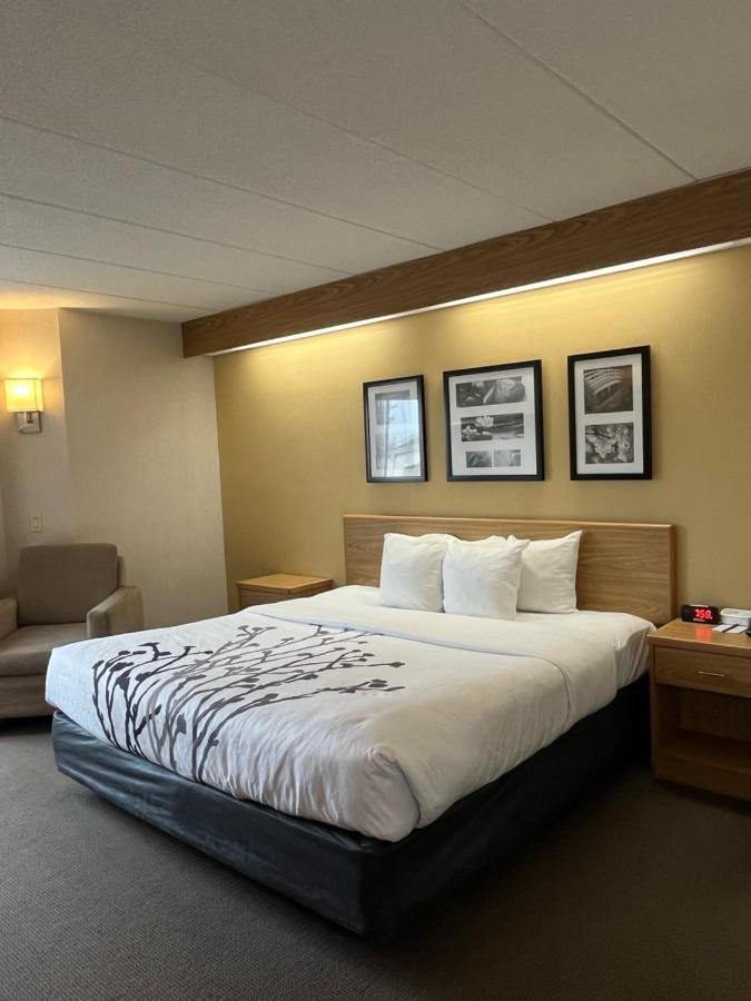Spark By Hilton - Area & Hwy 460 Estalagem 3*