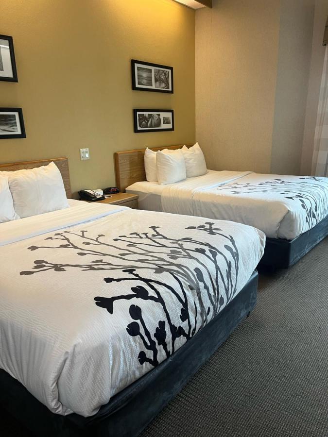 Estalagem Spark By Hilton - Area & Hwy 460 3*