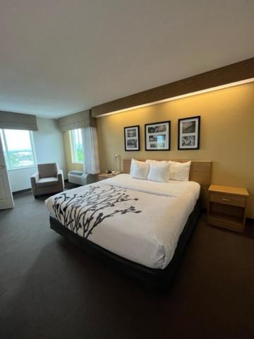 Spark By Hilton - Area & Hwy 460
